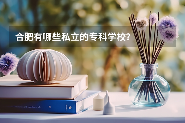 合肥有哪些私立的专科学校？