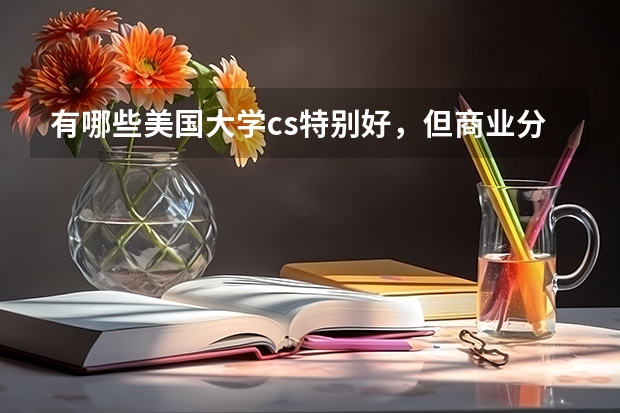 有哪些美国大学cs特别好，但商业分析专业排名一般？和男朋友本科同211cs，研究生想去一个同一个学校？