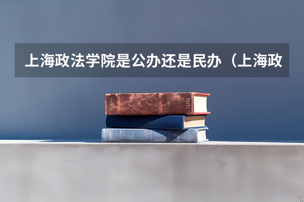 上海政法学院是公办还是民办（上海政法大学分数线）