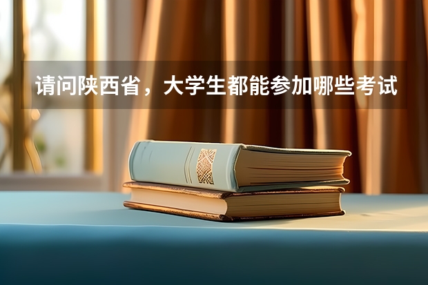 请问陕西省，大学生都能参加哪些考试啊，如省考，政法干警啥的