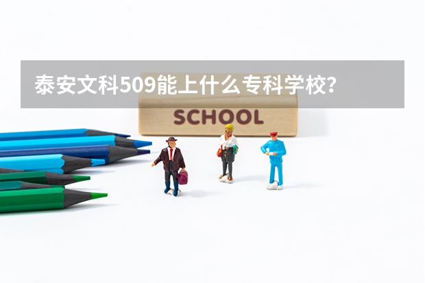 泰安文科509能上什么专科学校？