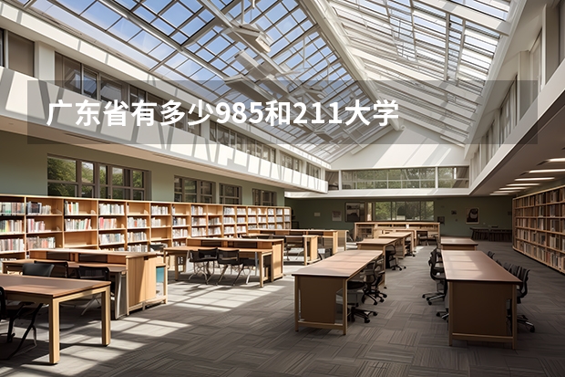 广东省有多少985和211大学