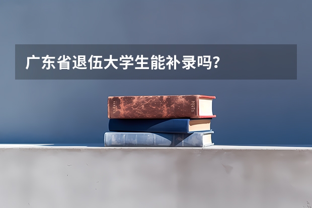 广东省退伍大学生能补录吗？