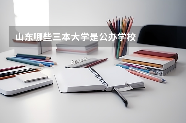 山东哪些三本大学是公办学校