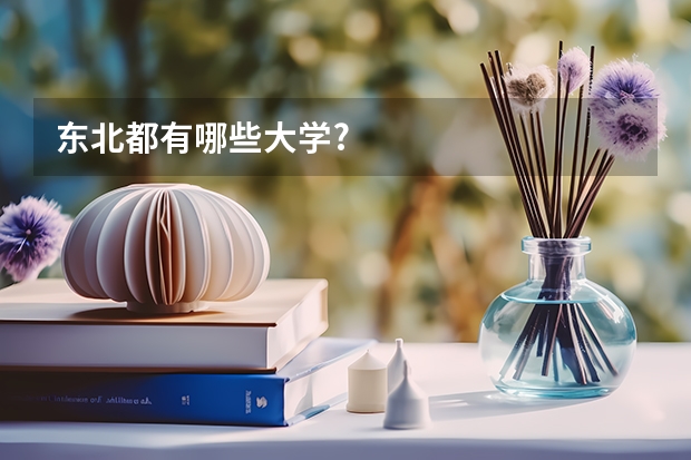 东北都有哪些大学?