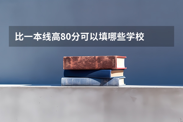 比一本线高80分可以填哪些学校