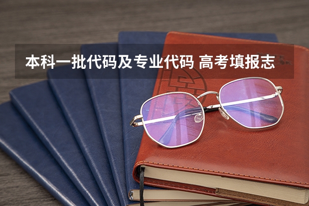 本科一批代码及专业代码 高考填报志愿时怎样填写院校代号、专业代号？