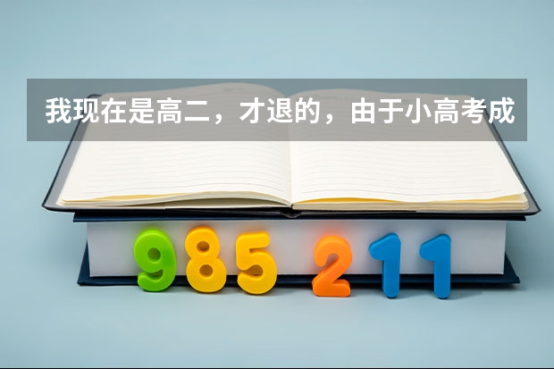 我现在是高二，才退的，由于小高考成绩太差了，退学太唐突了，现在想休学明年再念一年，不知可不可以！（萎靡不振  头晕  学习 高考）